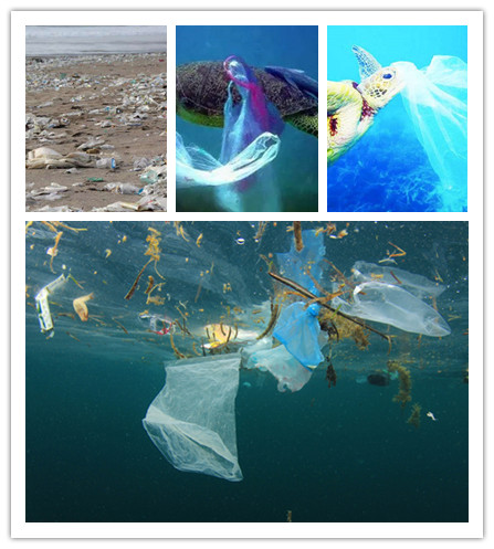 15639383708399.jpg timg_副本.jpg